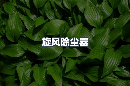 旋风除尘器